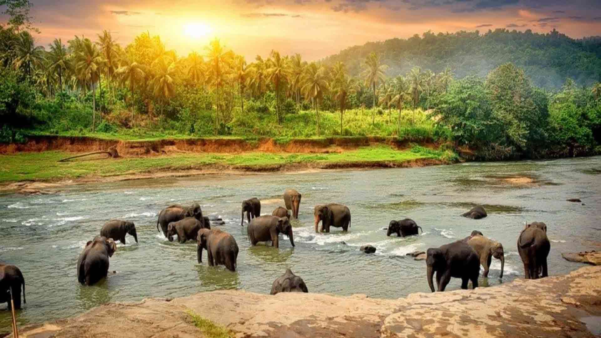 Auli Haridwar Rishikesh Tour Packages