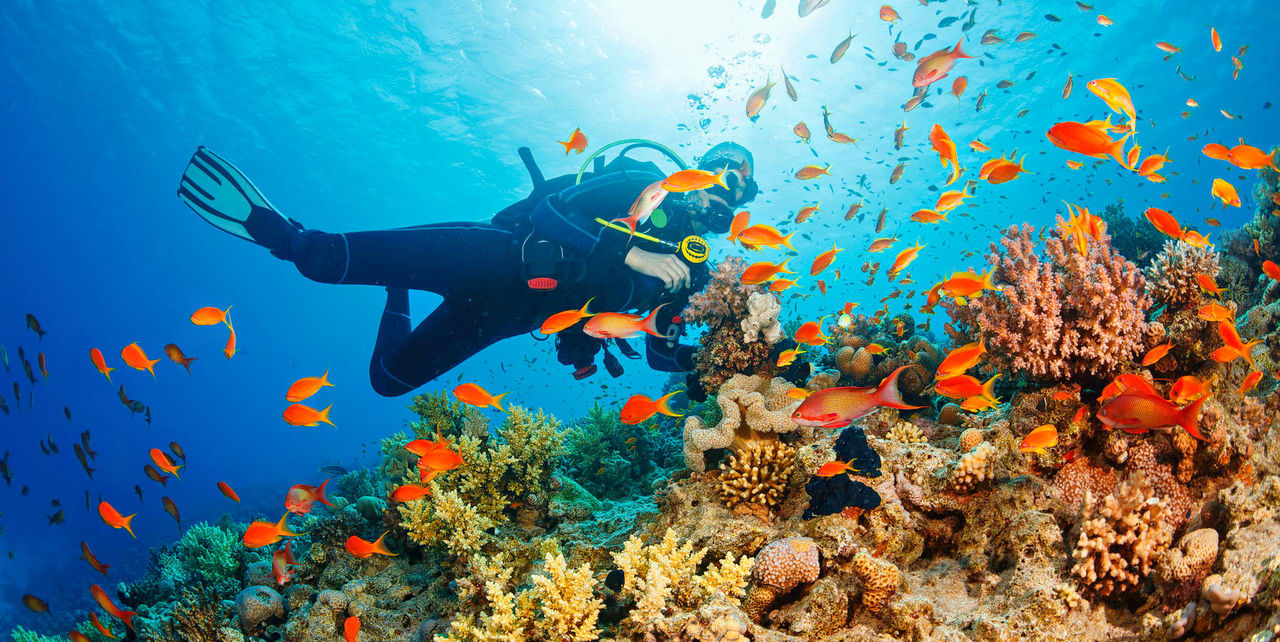 PORT BLAIR & HAVELOCK ISLAND