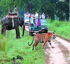 jim corbett nainital